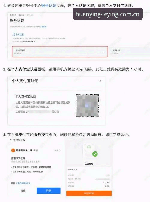 资深用户分享：乐盈网页版登录的实战经验与创新玩法